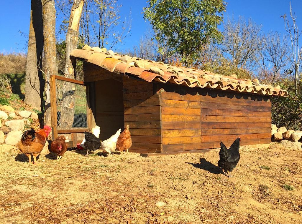 Holiday home Cal Pesolet Eco Turisme Rural Bellver De Cerdanya