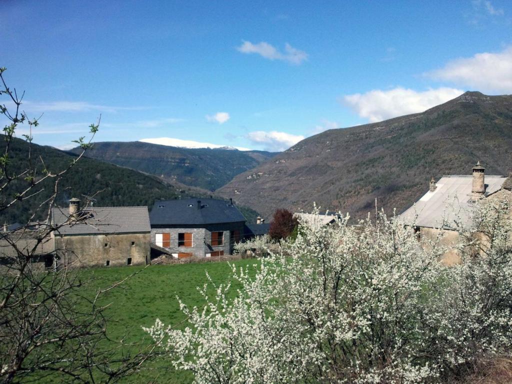 Ordesa Natura Apartamento Asín de Broto