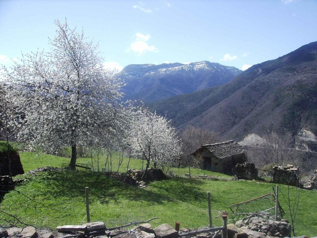 Ordesa Natura Apartamento Asín de Broto