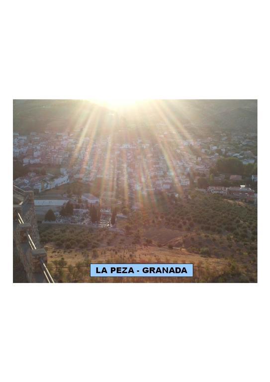 Pájaro Azul Apartamento Graena