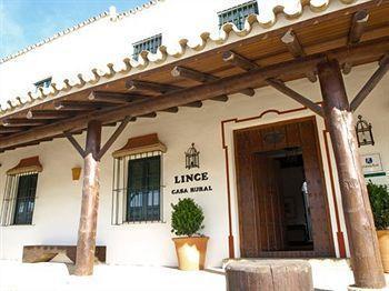 Lince El Rocio