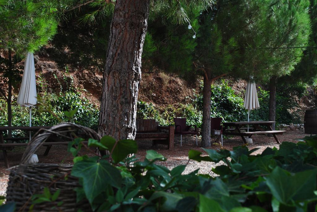 Masia El Riscle - Moli Del Pont Casa rural *