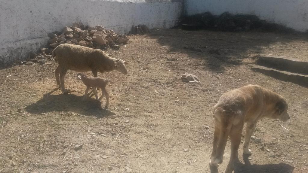 La Umbría De La Ribera Casa rural *