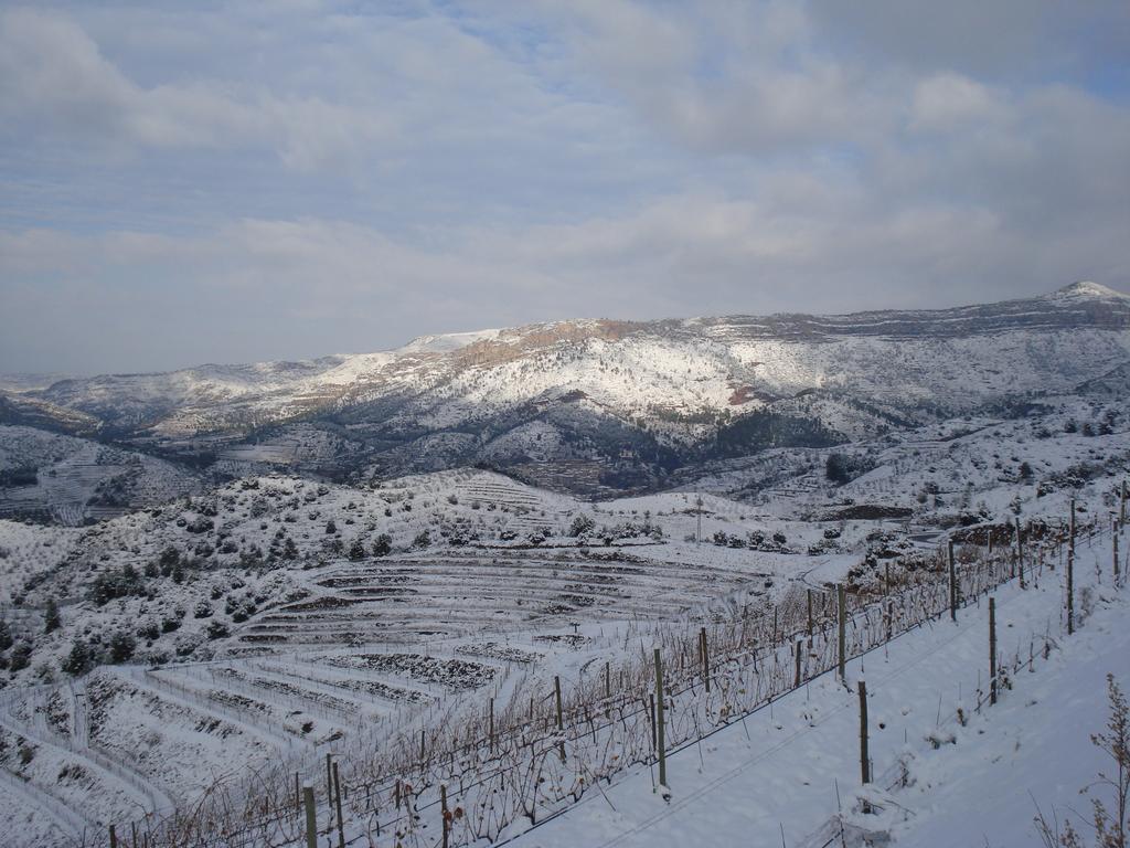 Hotel Buil & Gine Wine
