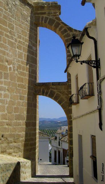 Cortijos San Jose *