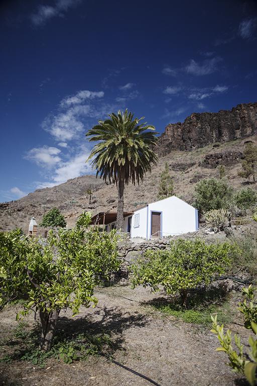 Ecotara Canary Islands Eco-villa Retreat