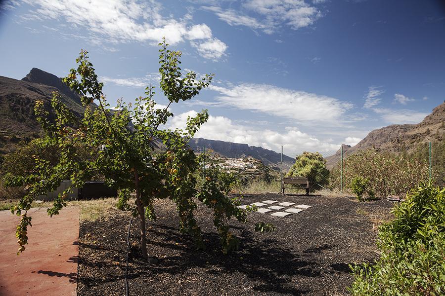 Ecotara Canary Islands Eco-villa Retreat *