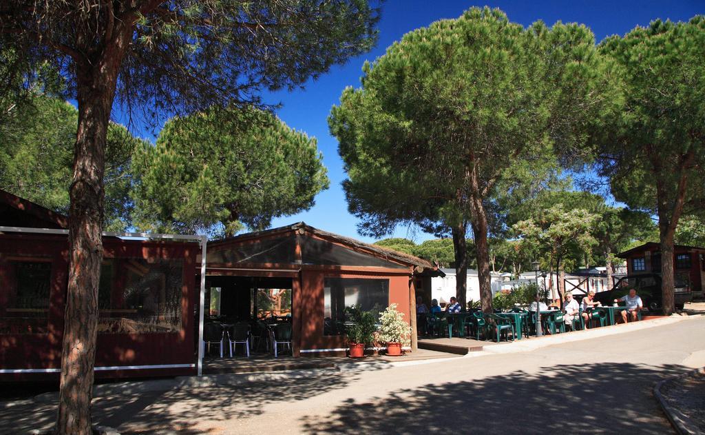 Complejo Turístico&camping Cabopino Camping