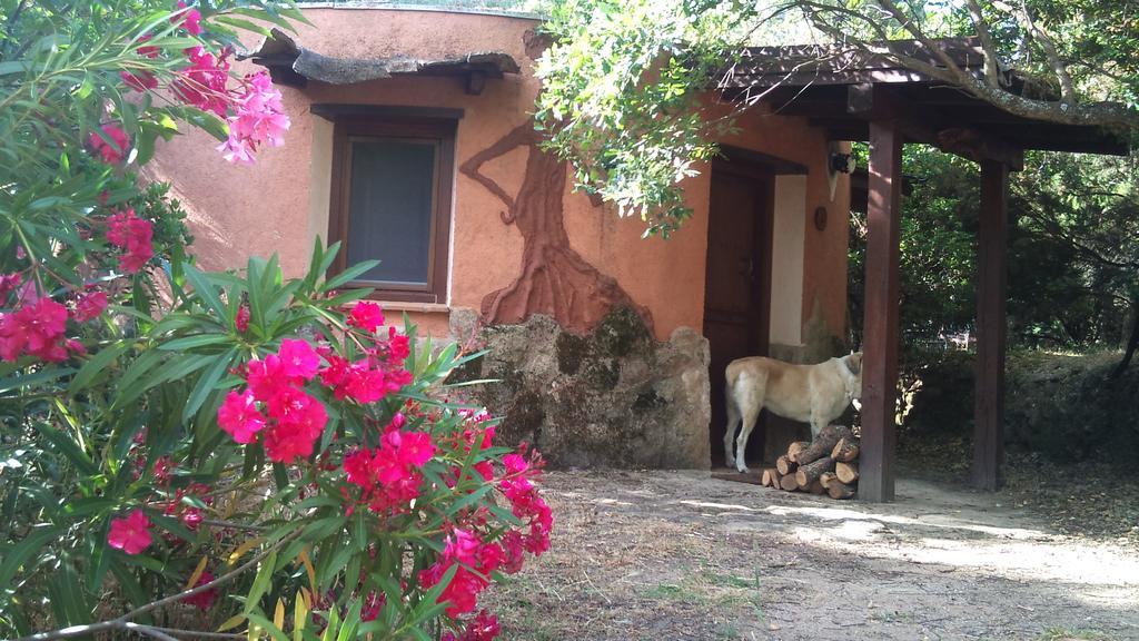 Country house Rurales Ecopangea *