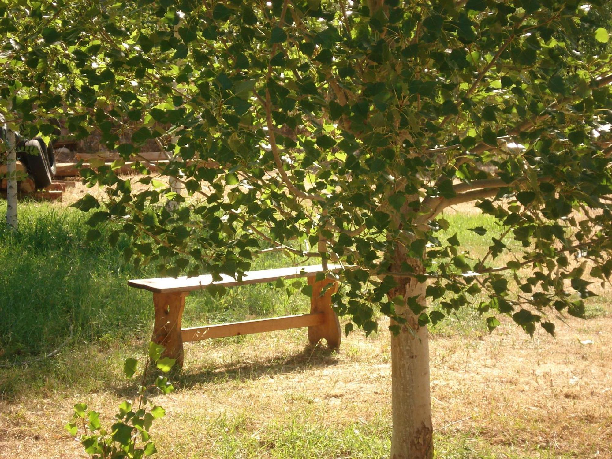 Masia El Carcabà - Molí Del Pont. Сasa de vacaciones Cornudella de Montsant