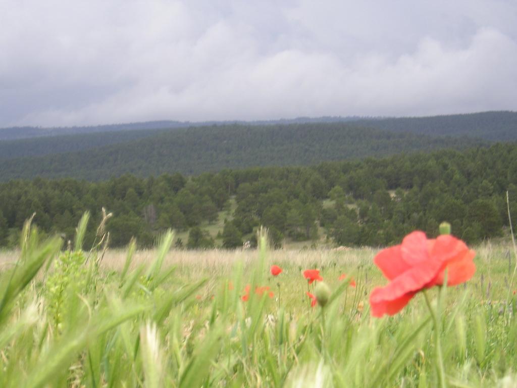 Apartamento Naturaleza *