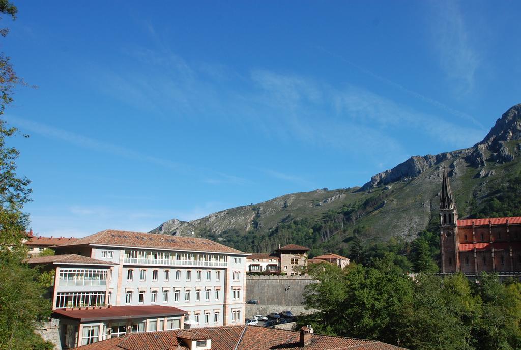 Arcea Gran Pelayo