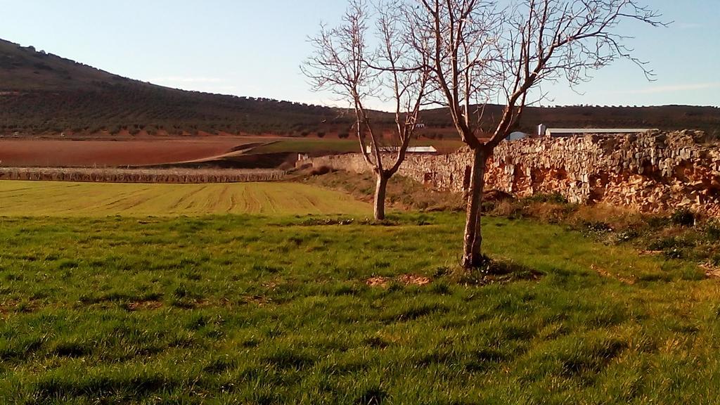 Rural La Vida De Antes Consuegra