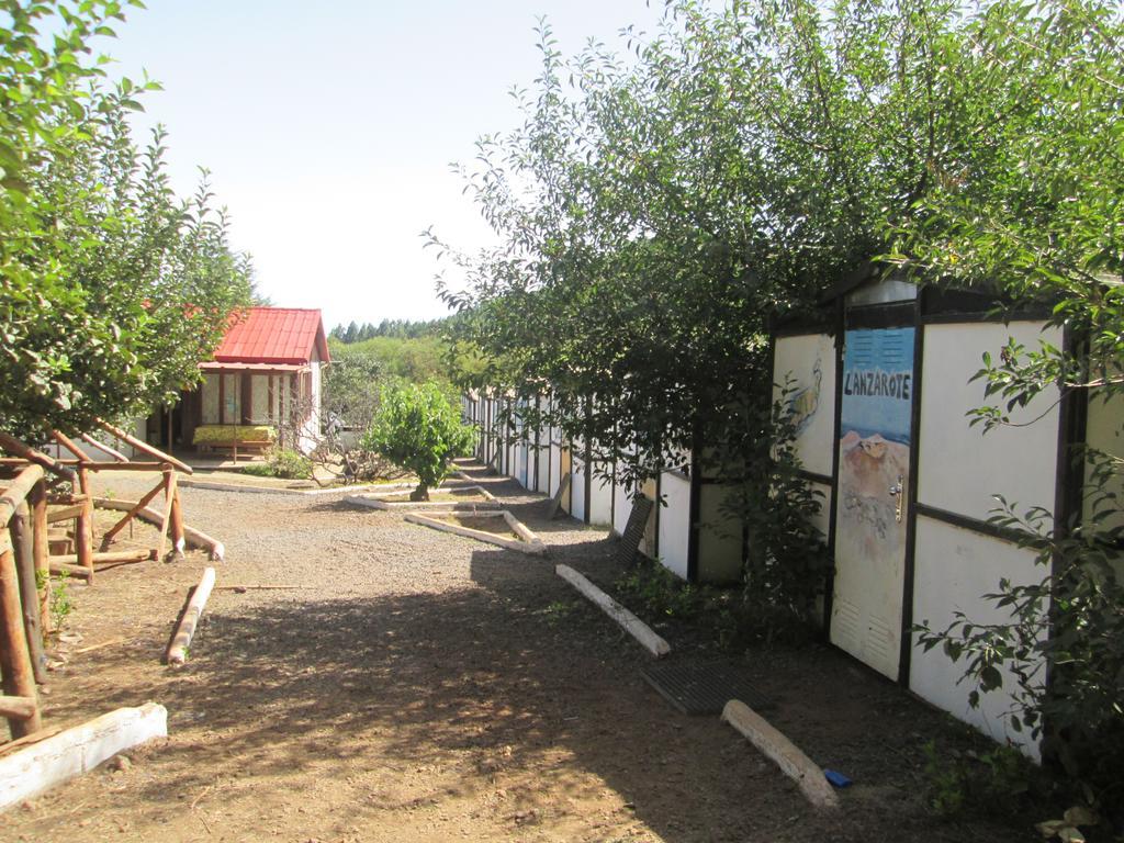 Campamento Quimpi * El Rosario (Tenerife)