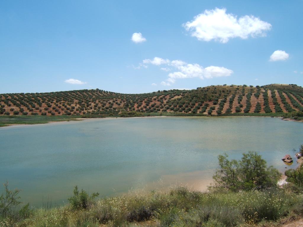 Apartamento Turistico Rurales Via Verde Del Aceite Alcaudete