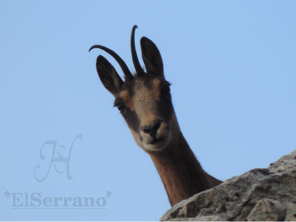 Holiday home El Serrano *