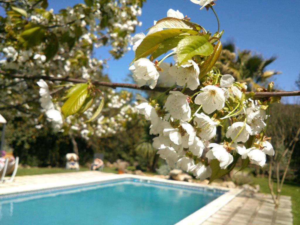Casa rural Mas Martis Seriñá