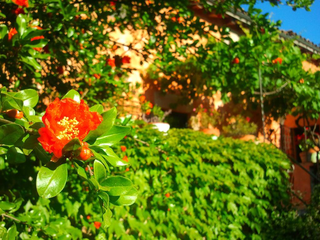 Mas Martis Casa rural *
