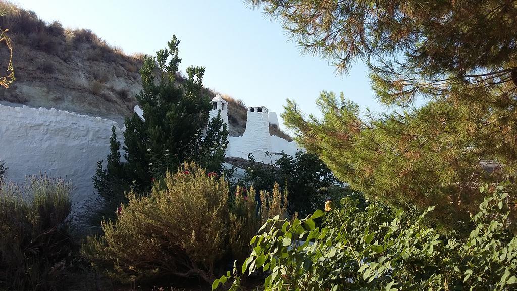 Al Jatib Apartment