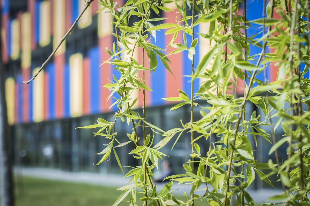 Centre Esplai El Prat de Llobregat