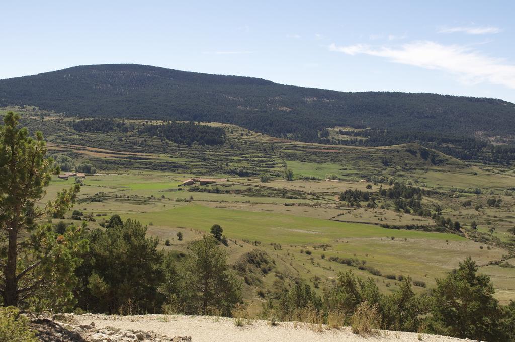 Country house Casa Rural El Olmo *