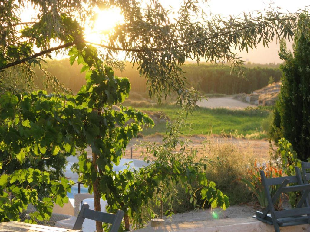 Al Jatib *