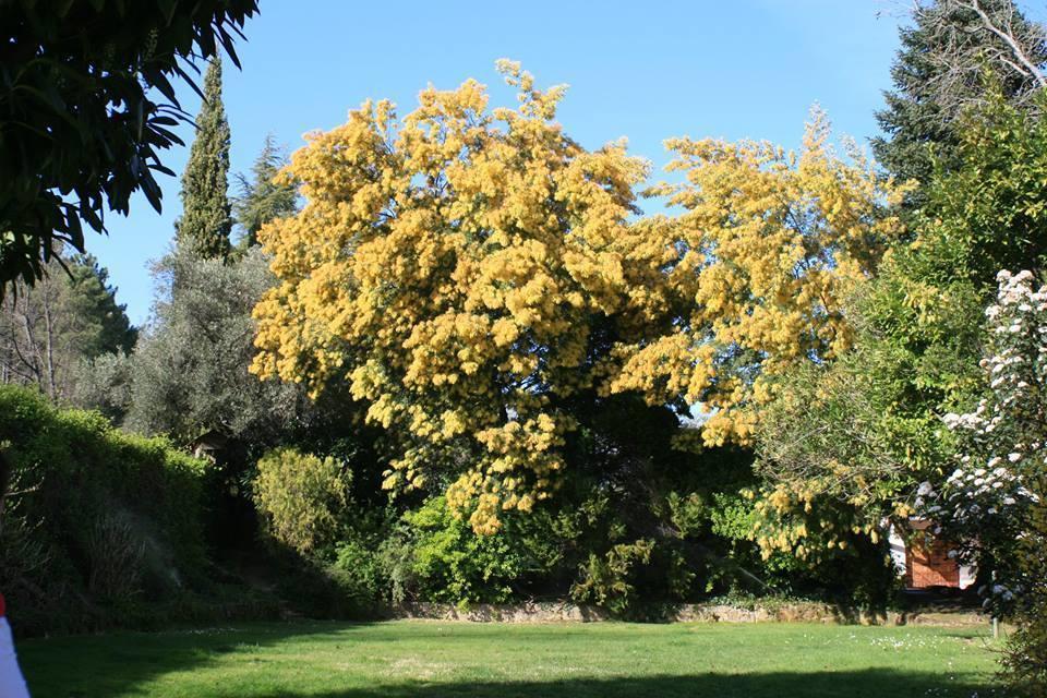 Rancho La Herradura Holiday home *