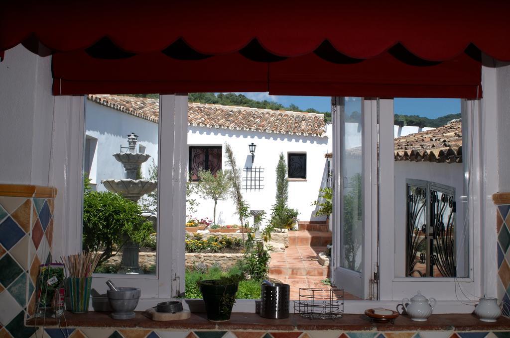 The White Olive * Ronda