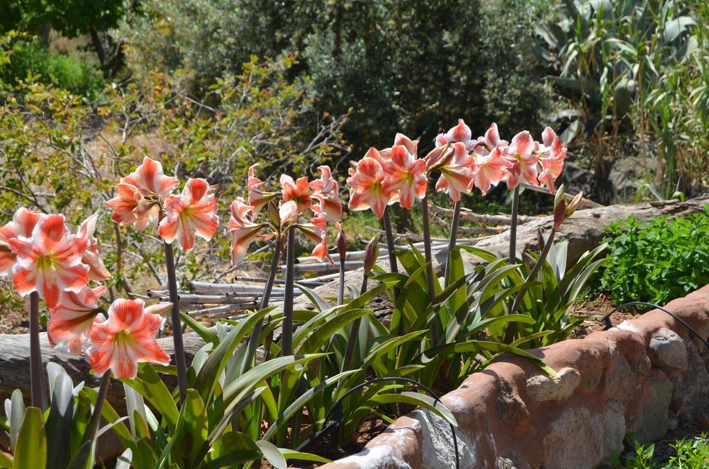 Casa rural Casas De La Rueda - La Casita
