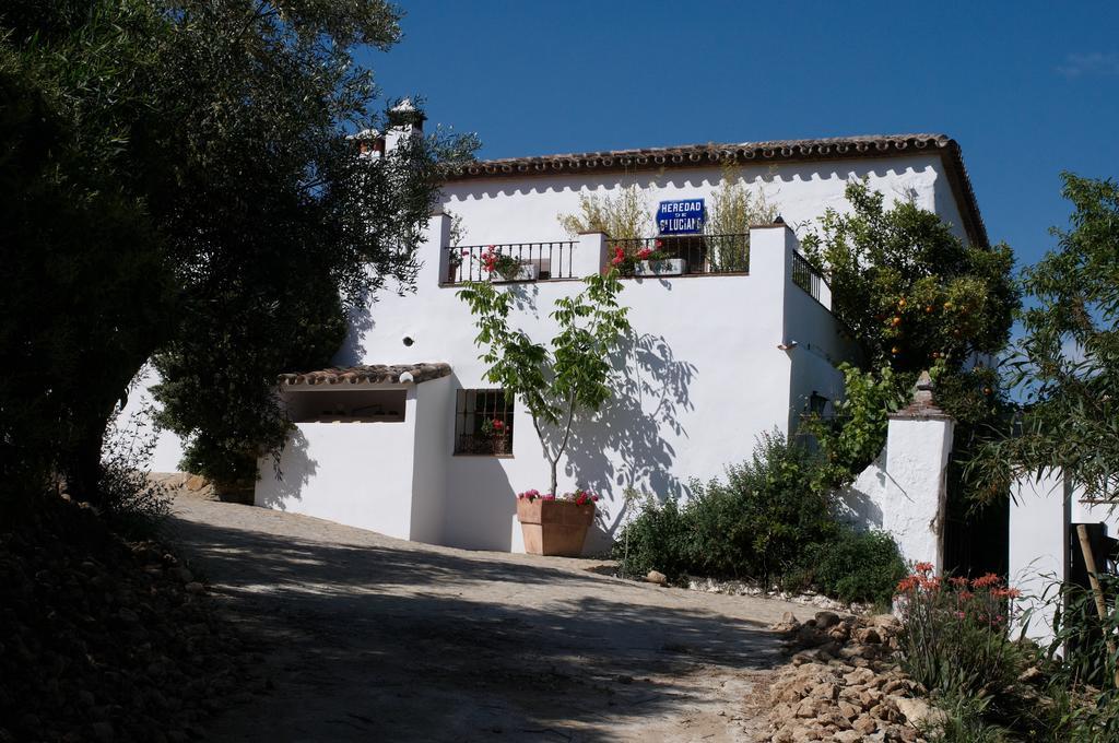 The White Olive Ronda