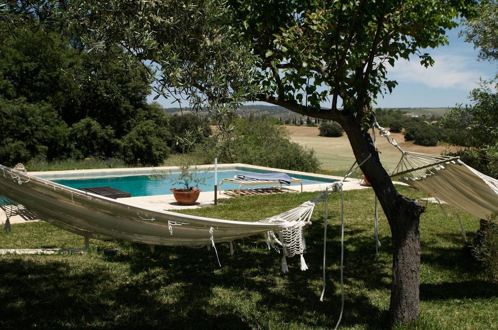 The White Olive *