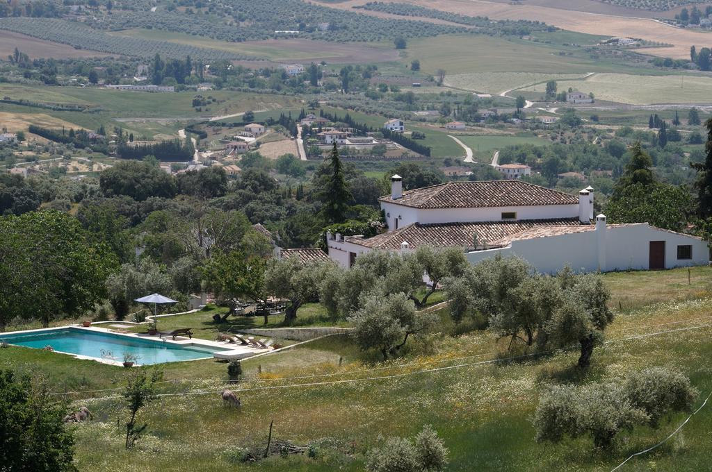 The White Olive * Ronda