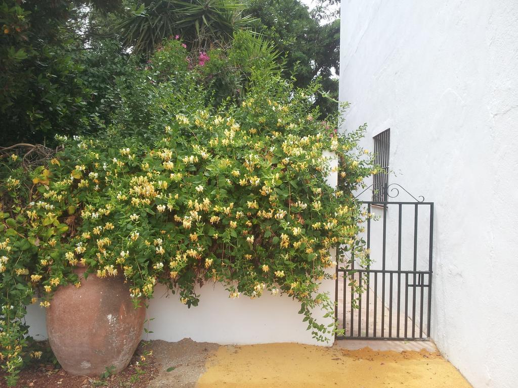 Cortijo De Vega Grande *