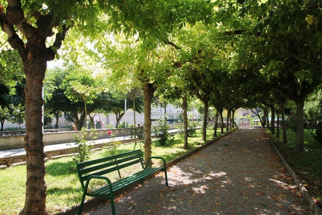 Pensión Juvenil El Olivo *