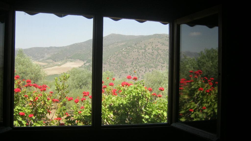 La Piedra Holidays Holiday home