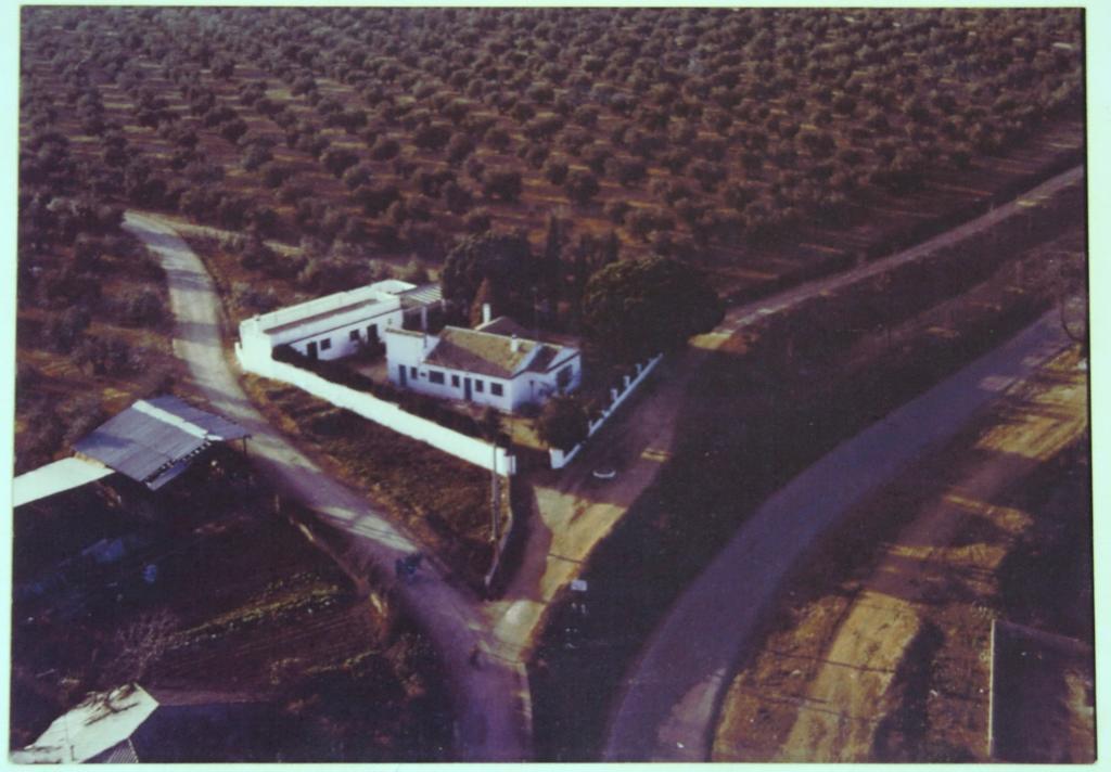 La Casa Del Abuelo Jose * Marmolejo