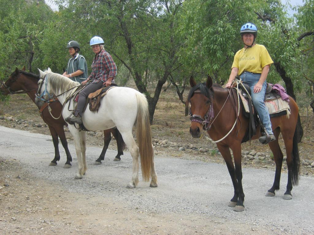 La Piedra Holidays * Alora
