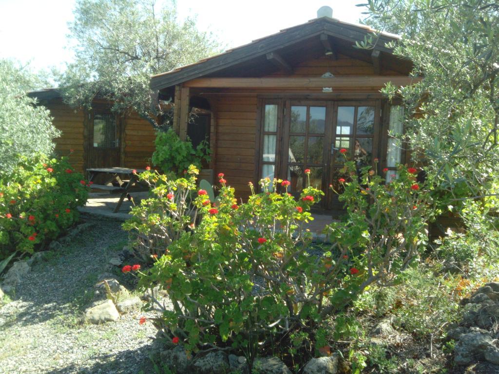 La Piedra Holidays Alora