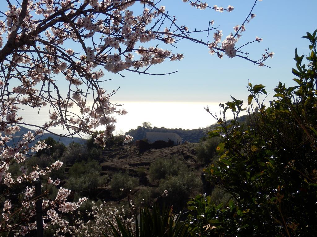 Casa Agradable Bed & Breakfast