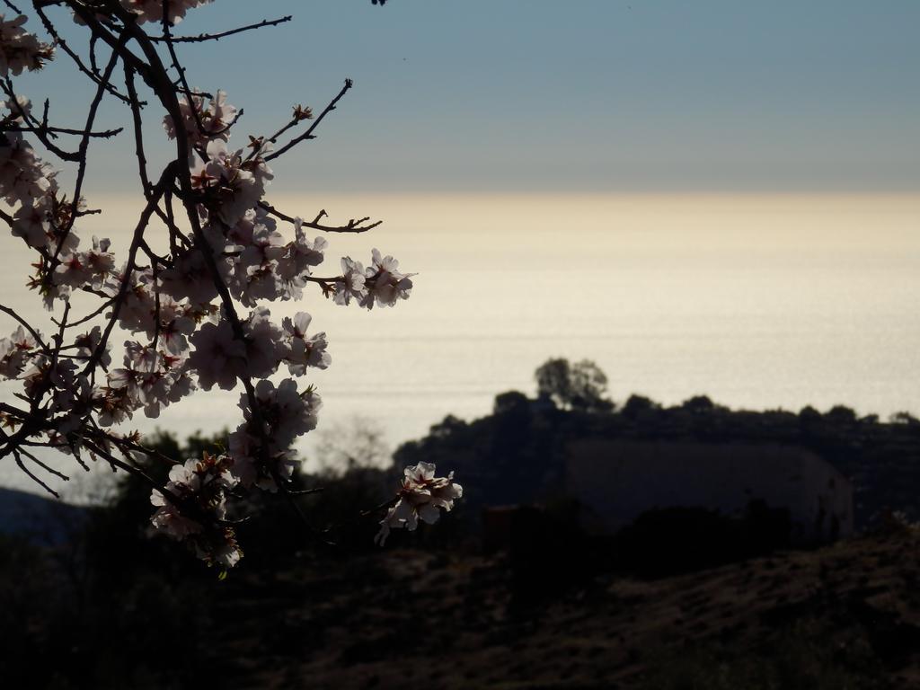 Bed & Breakfast Casa Agradable Arenas (Malaga)