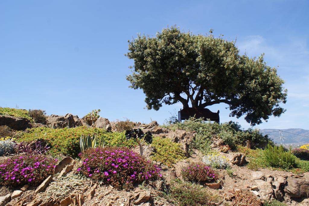 Casa Agradable Bed & Breakfast