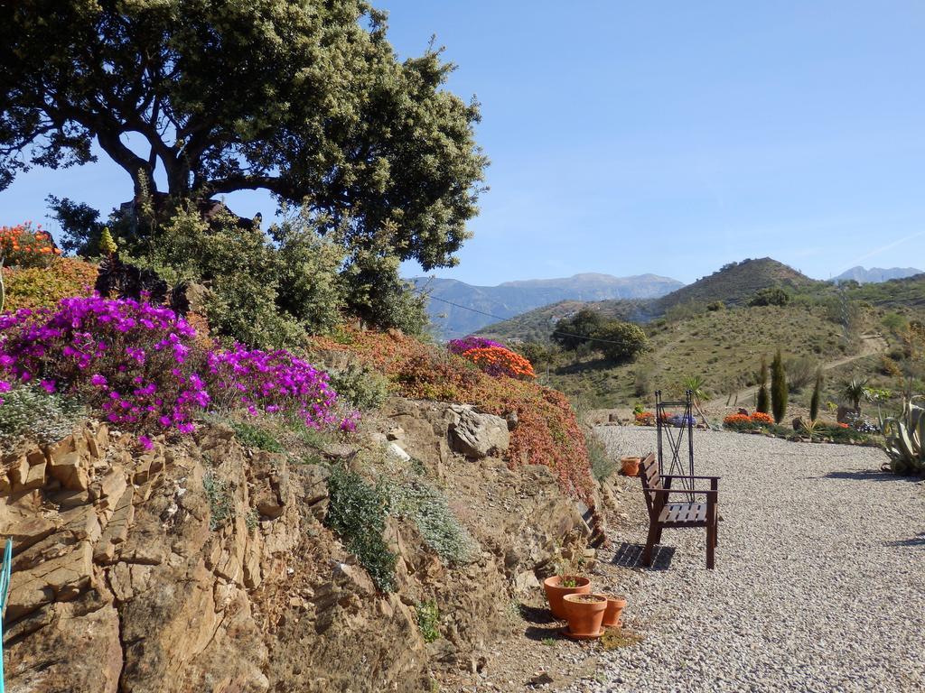 Bed & Breakfast Casa Agradable