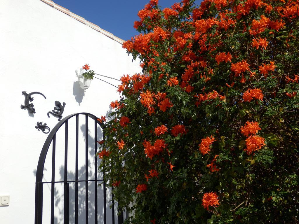 Casa Agradable Bed & Breakfast