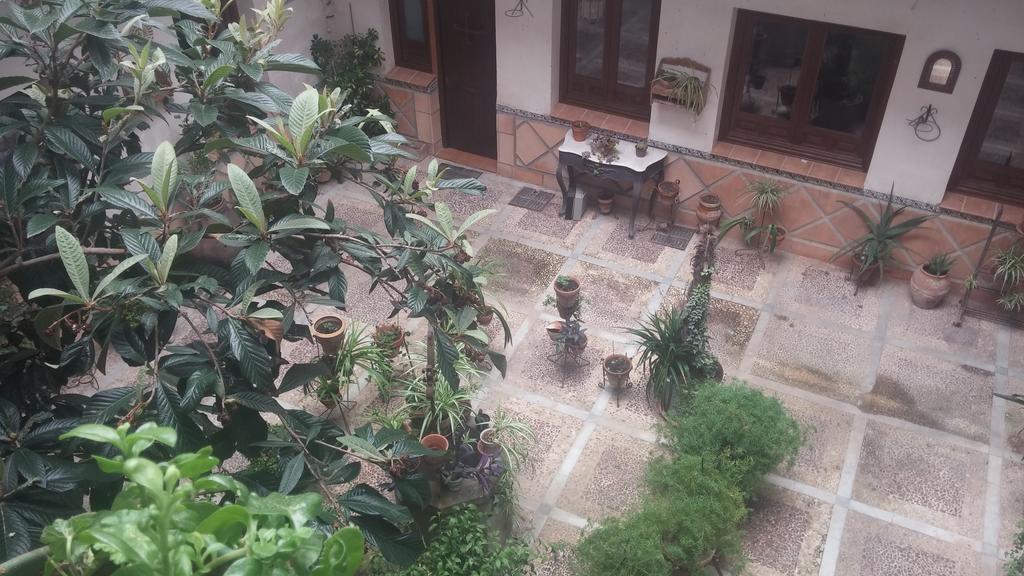 El Patio De Mi Casa *