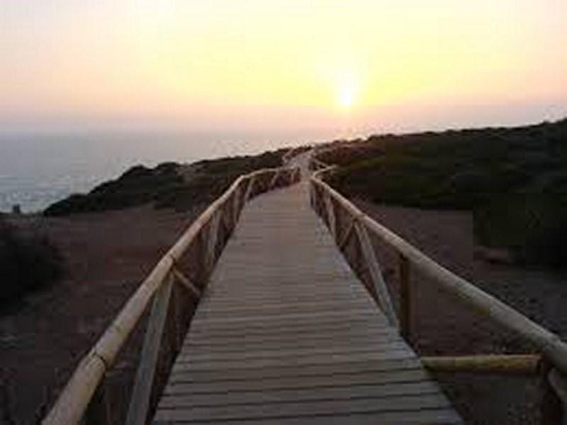 Conil