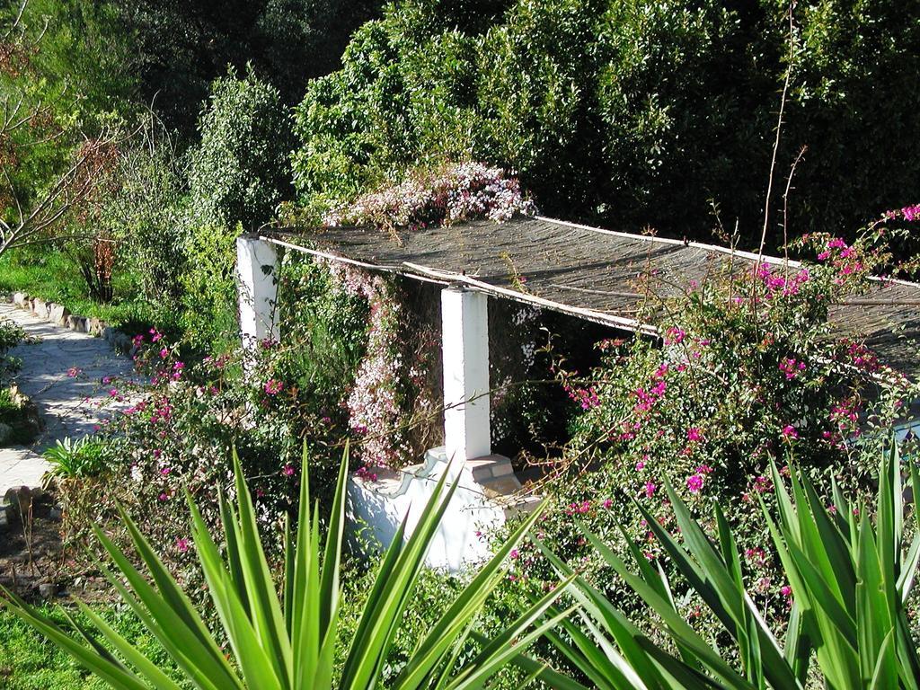 San Ambrosio Vejer de la Frontera