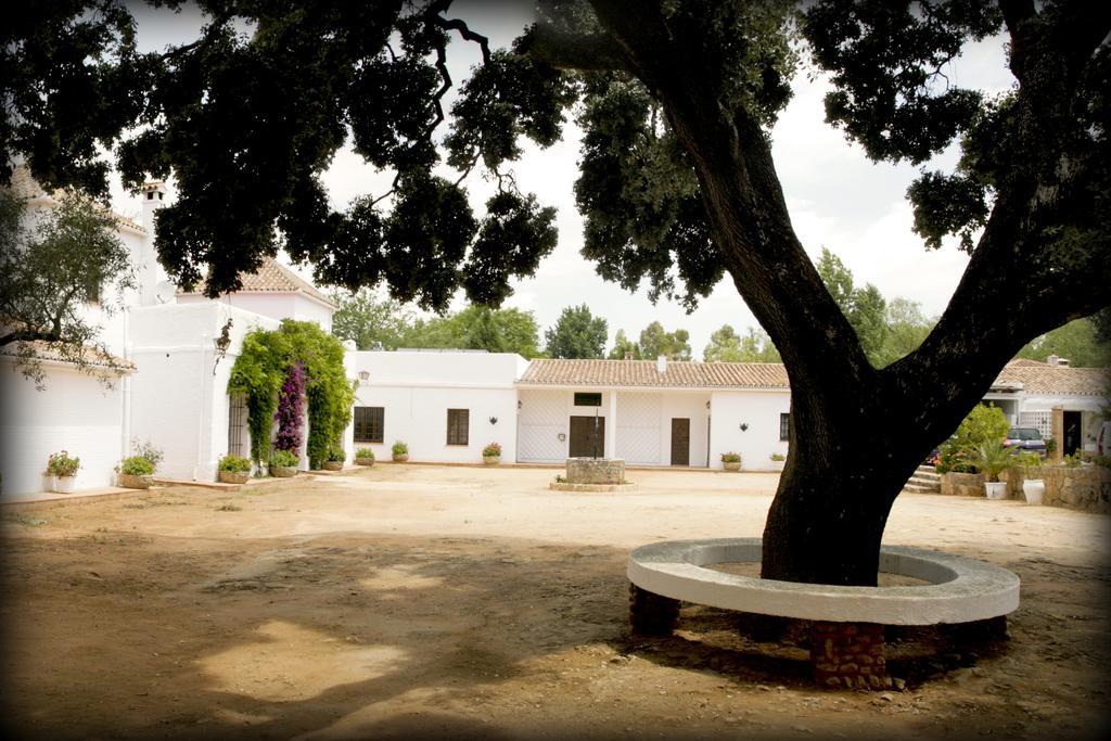 Casa rural Recreo De San Cayetano *