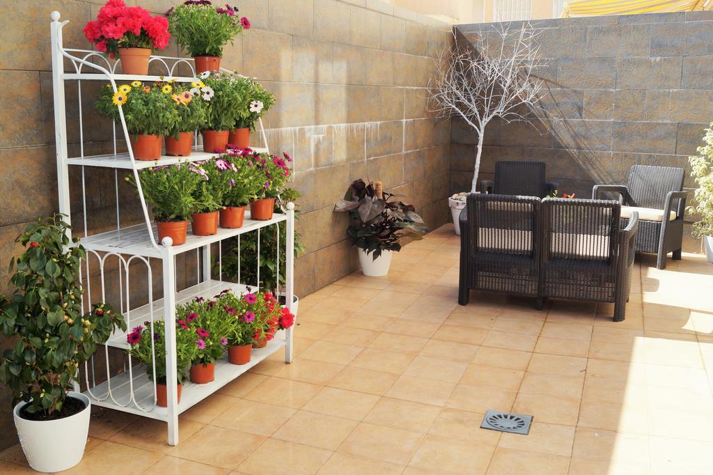 Mi Patio *
