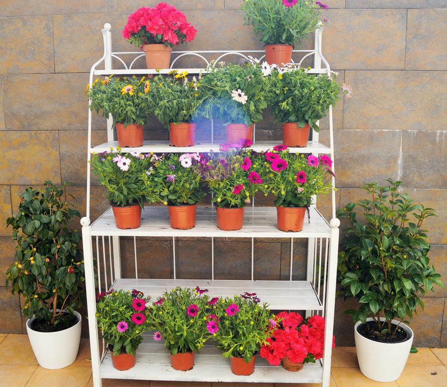 Apartamento Mi Patio Torrevieja