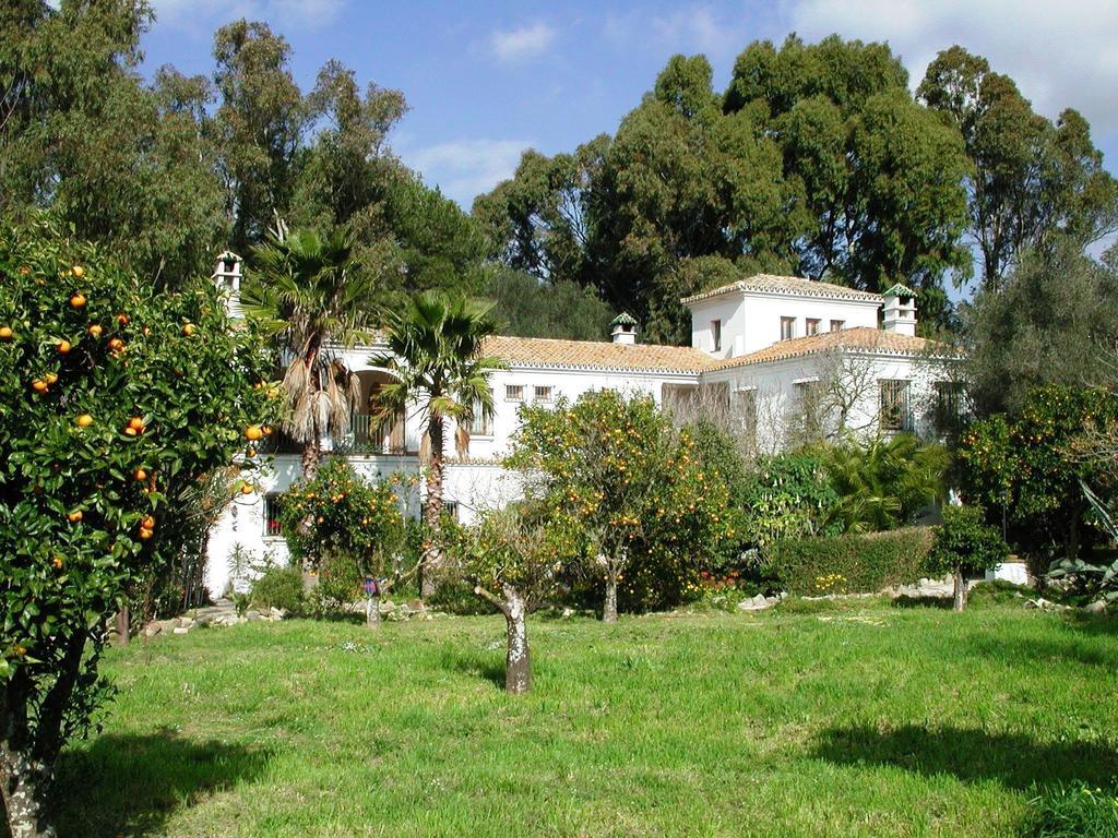 San Ambrosio * Vejer de la Frontera